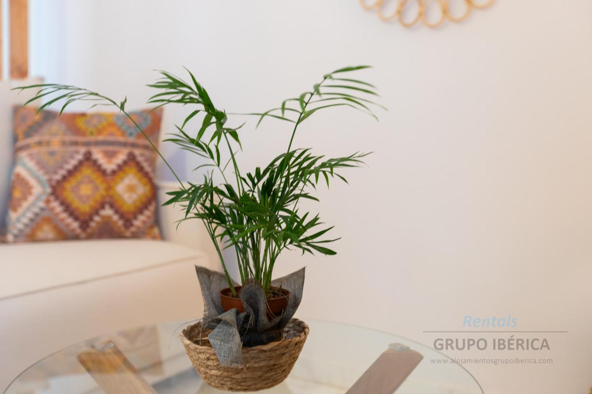 Apartment Loma Del Colegial 토레몰리노스 외부 사진